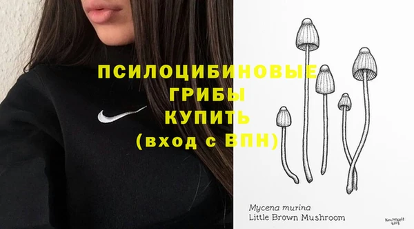 прущие крисы Вязьма