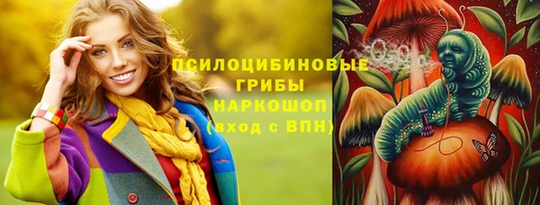 стафф Волоколамск