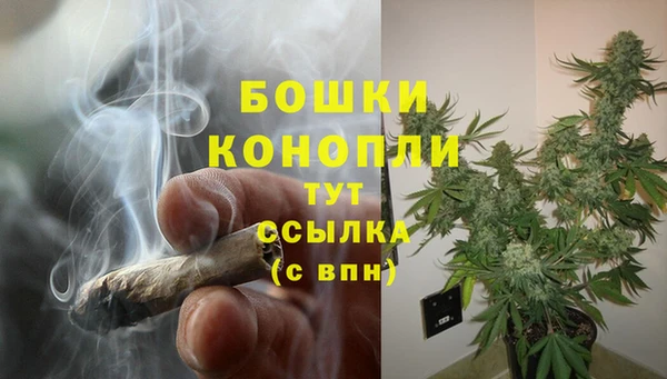 молекула духа Вязники