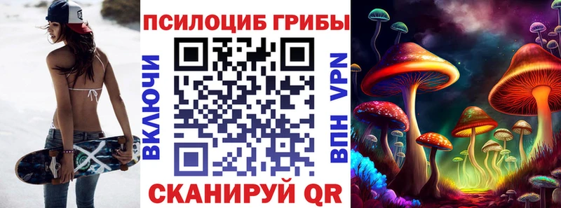 Псилоцибиновые грибы Psilocybe  Купить закладки  Дмитровск 